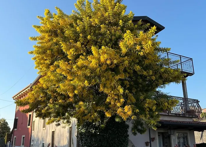 Alle Albere - Verona - * Bussolengo