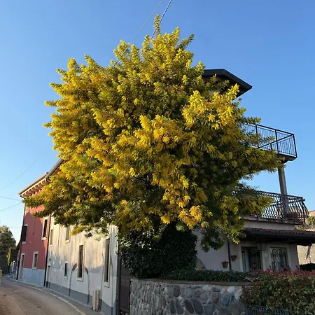 Alle Albere - Verona - * Bussolengo