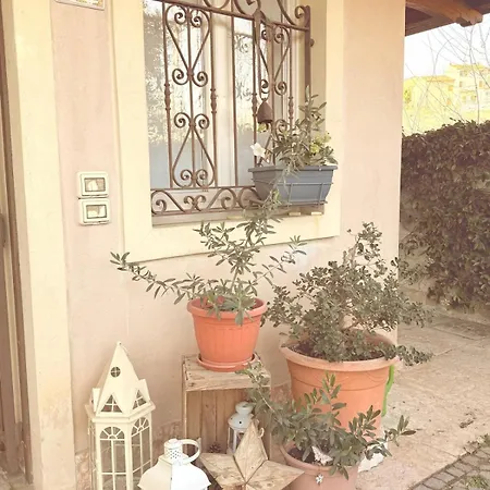 Alle Albere - Verona - *